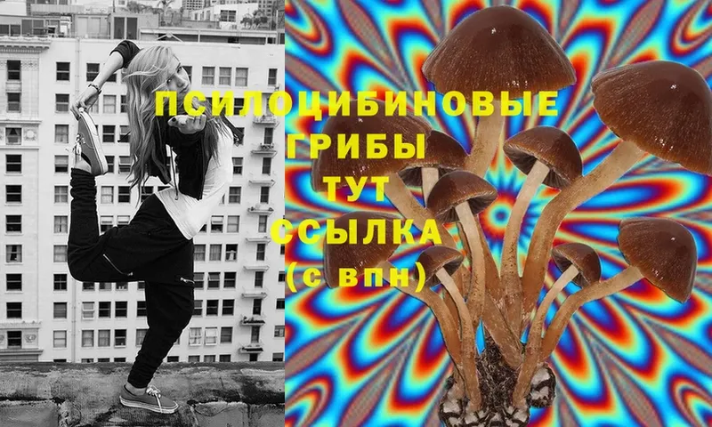 Псилоцибиновые грибы Cubensis  Электроугли 